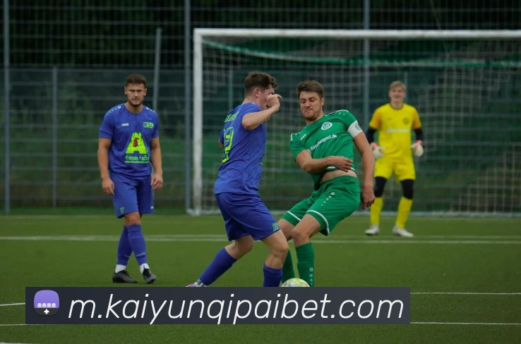 App Interface Preview