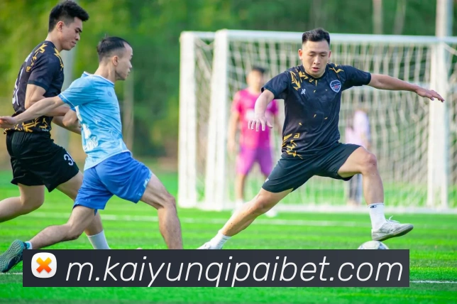 开云棋牌APP 封面图